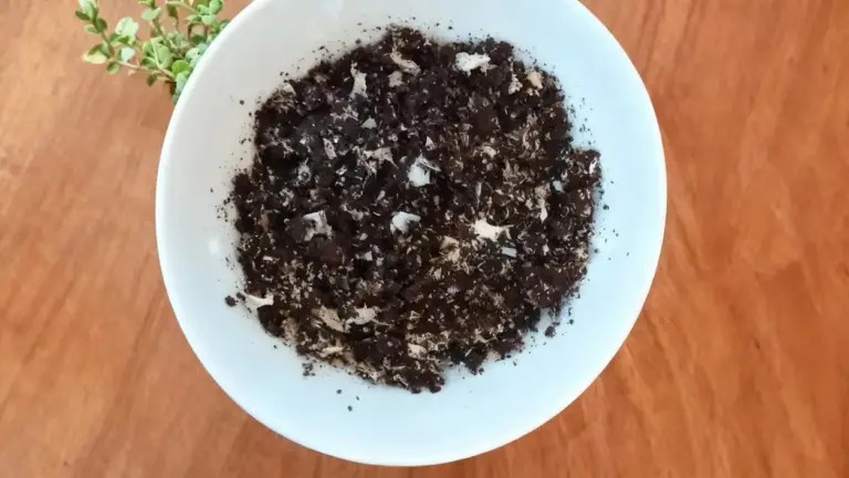 Ciotola bianca con fertilizzante naturale fatto in casa su un tavolo di legno