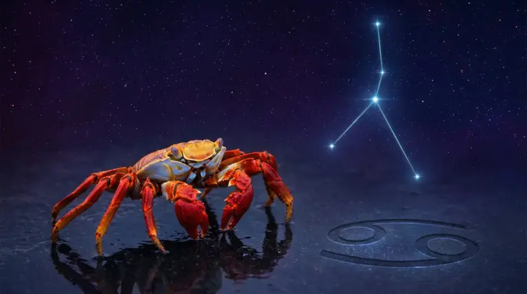 Granchio colorato con costellazione del Cancro sullo sfondo stellato