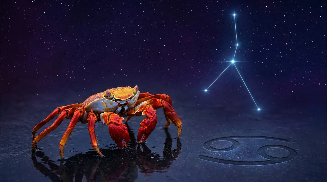 Granchio colorato con costellazione del Cancro sullo sfondo stellato