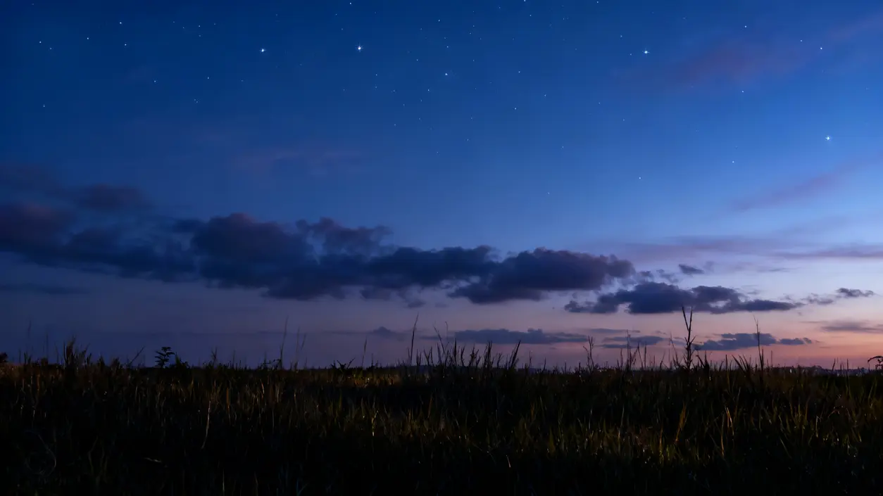 Cielo notturno stellato sopra un campo all'imbrunire con alcune nuvole